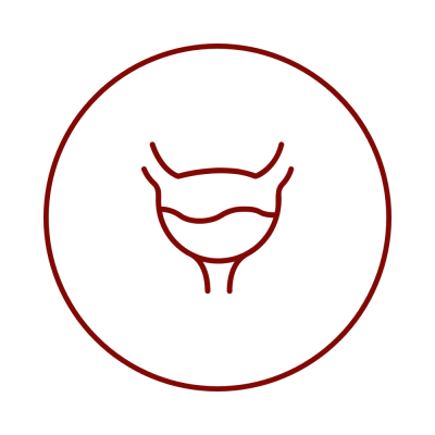 Bladder Icon - Red 2