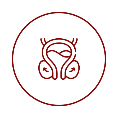 Prostatet Icon - Red 2